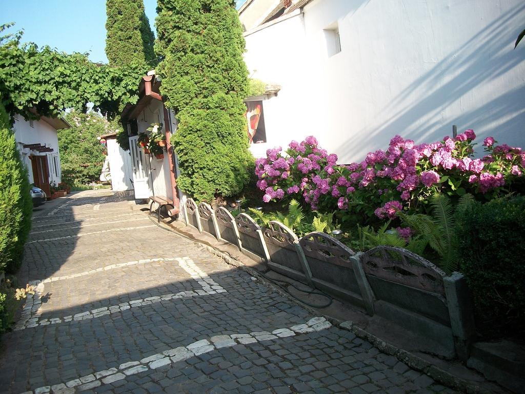 Hotel Casa Sara Săcele Exterior foto